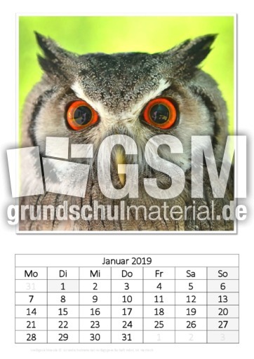 Januar_Weißgesichtseule.pdf
